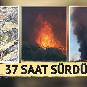 Son Dakika Haber Görseli
