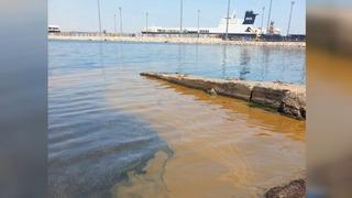 Marmara Denizi’ne atık yağ döktüğünden şüphelenilen işletmeye inceleme