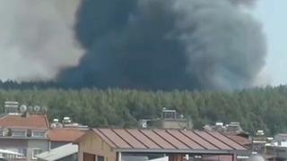 İzmir'de orman yangını: Havadan ve karadan müdahale başladı