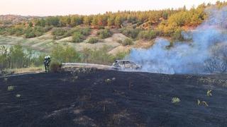 Araç yangınıyla başlayan orman yangını kısa sürede söndürüldü