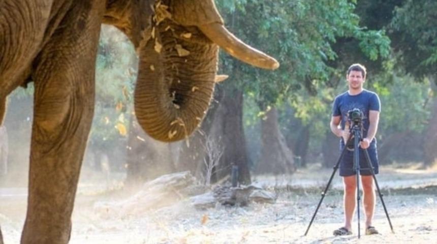 Milyoner iş insanı fil saldırısında hayatını kaybetti! Havaya fırlattı, kimse hızına yetişemedi! Ölümünü izlediler