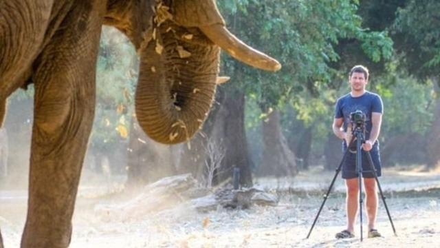 Milyoner iş insanı fil saldırısında hayatını kaybetti! Havaya fırlattı, kimse hızına yetişemedi! Ölümünü izlediler