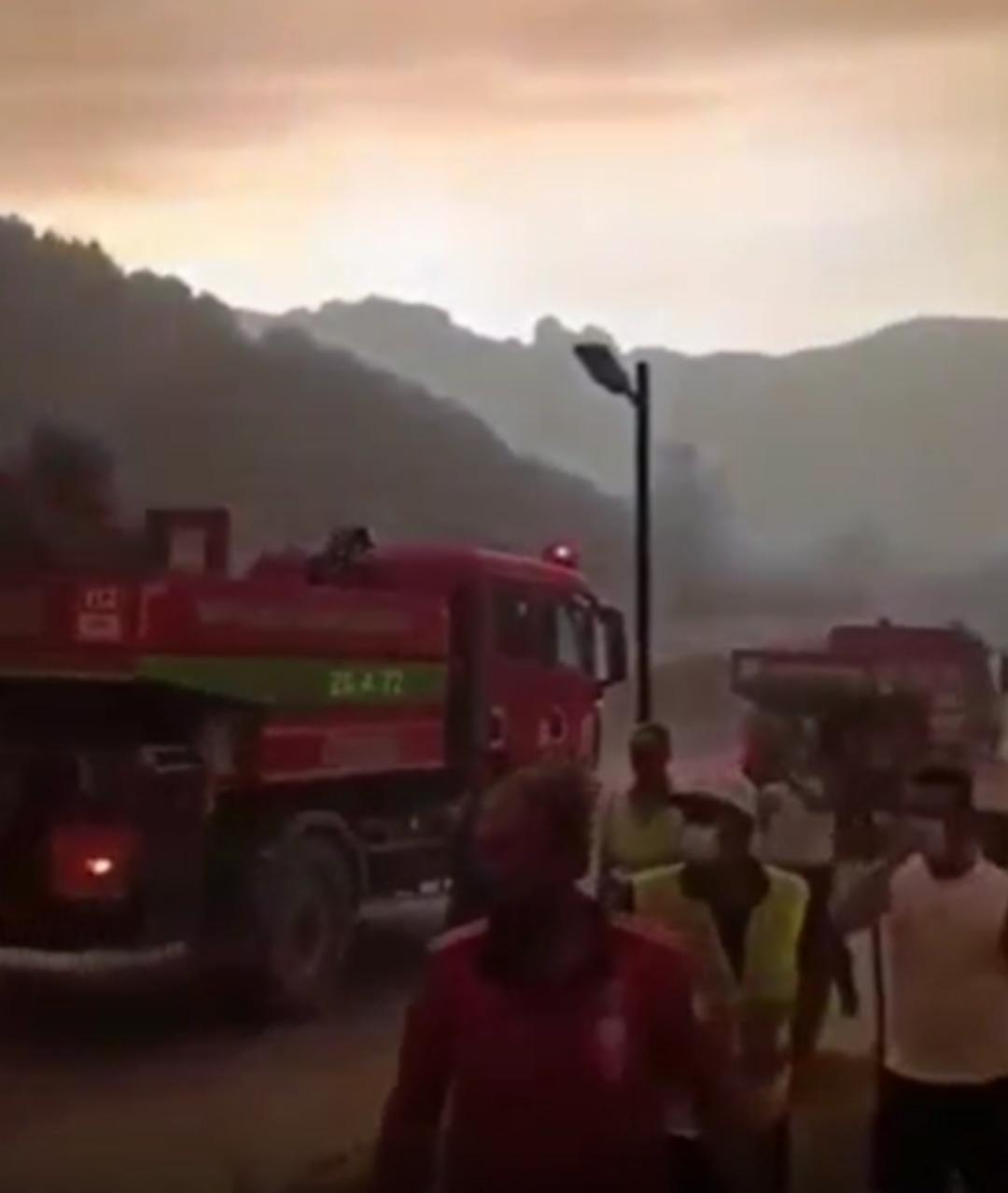 Belediye Başkanı Bekir Torun dan orman işçileri için tepki çeken sözler: "Korkup ağlayarak kaçtılar" 4