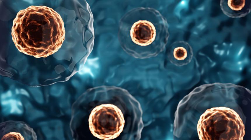 Japonya'dan olay karar! Kök hücreden üretilecek, rahme yerleştirilmeyecek! 