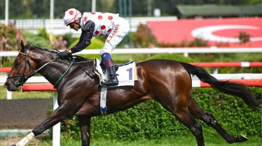 Gazi Koşusu Blaze To Win'in