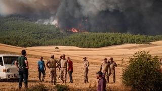 Orman yangınları sonrası İzmir ve Bilecik için yeni karar: Genel Hayata Etkili Afet Bölgesi ilan edildiler