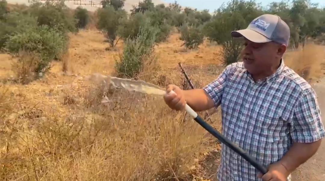 Son dakika | Antalya da felaket gibi gün: 4 farklı noktada peş peşe orman yangını! Alevler villasına sıçradı, Bülent Ersoy son anda kurtuldu 3