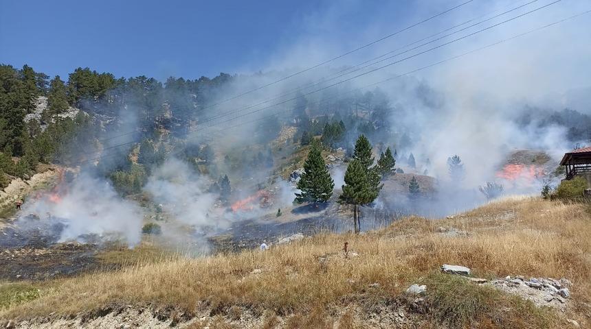 Antalya'da orman yangını