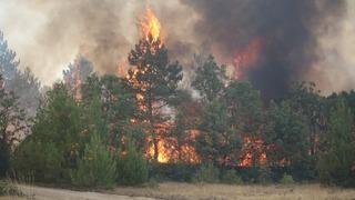 Şiddetli rüzgar alevleri yerleşim yerine yaklaştırmaya devam ediyor
