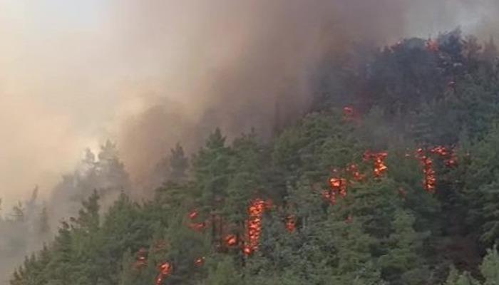 20697728-700x400 Denizli'de boş evde çıkan yangın ormana sıçradı