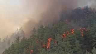 Denizli'de boş evde çıkan yangın ormana sıçradı