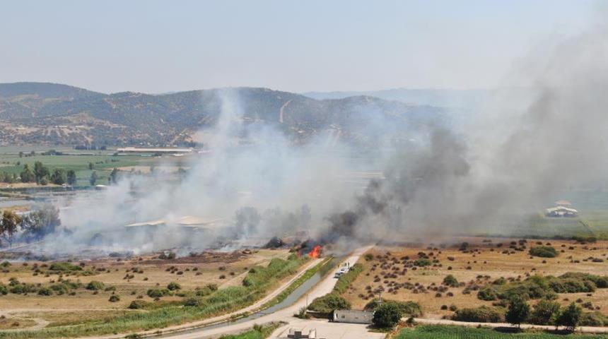 Rüzgarla büyüyen yangın, hayvan çiftliğini tehdit etti
