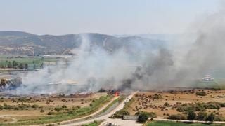 Rüzgarla büyüyen yangın, hayvan çiftliğini tehdit etti