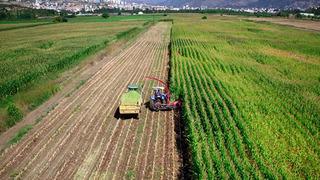 Tarımsal destek ödemeleri bugün hesaplara aktarılıyor