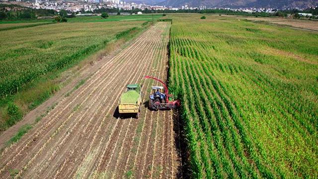 Tarımsal destek ödemeleri bugün hesaplara aktarılıyor
