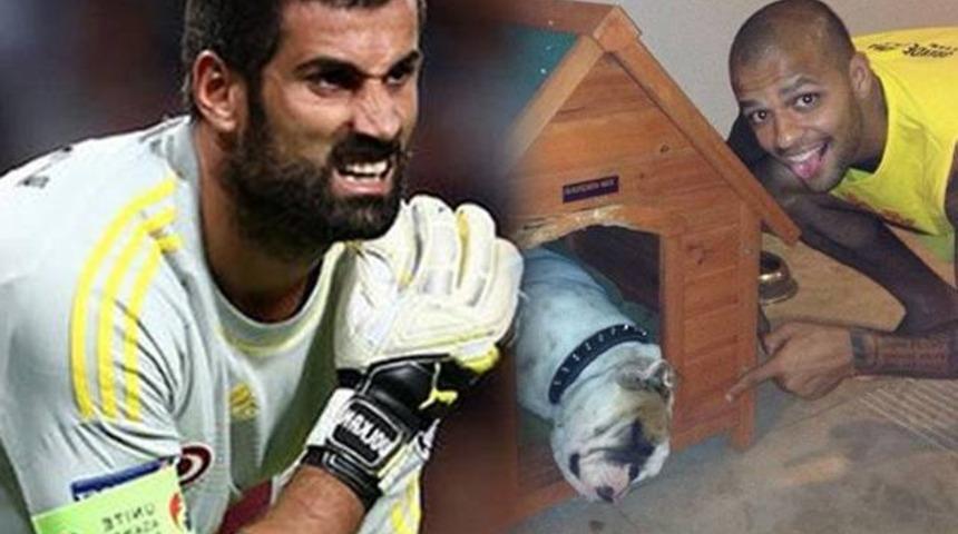Melo'dan Volkan'a: Pitbull kadar değerin yok