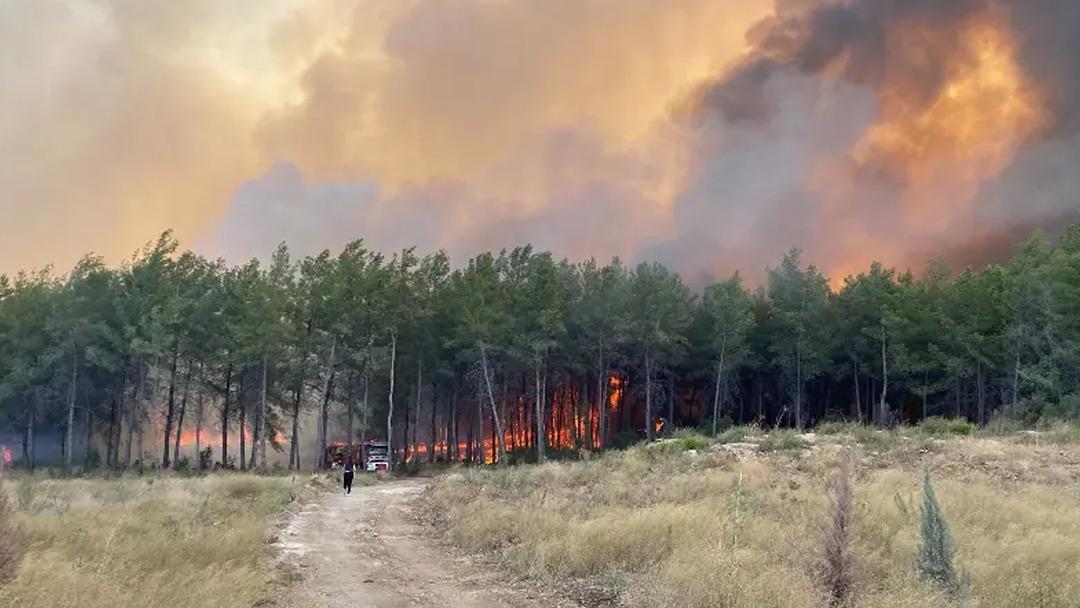 Bakan Yumaklı orman yangınlarıyla ilgili "Daha güçlü bir düşmanla karşı karşıyayız" dedi! Meteoroloji nin verisine dikkat çekti: "Bizi daha büyük endişeye sevk etti" 3