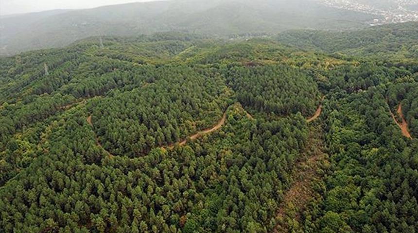 Meteoroloji uyardı! Ankara, Sivas, Yalova... Peş peşe kararlar geldi: Yasaklandı