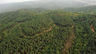 Meteoroloji uyardı! Ankara, Sivas, Yalova... Peş peşe kararlar geldi: Yasaklandı