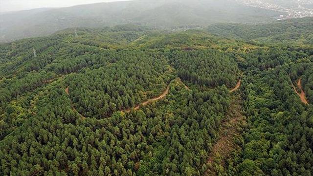 Meteoroloji uyardı! Ankara, Sivas, Yalova... Peş peşe kararlar geldi: Yasaklandı