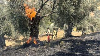 Aydın Büyükşehir İtfaiyesi 2 günde 55 yangına müdahale etti