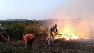 Balıkesir'de yangın! Çiftlik sahibine gözaltı