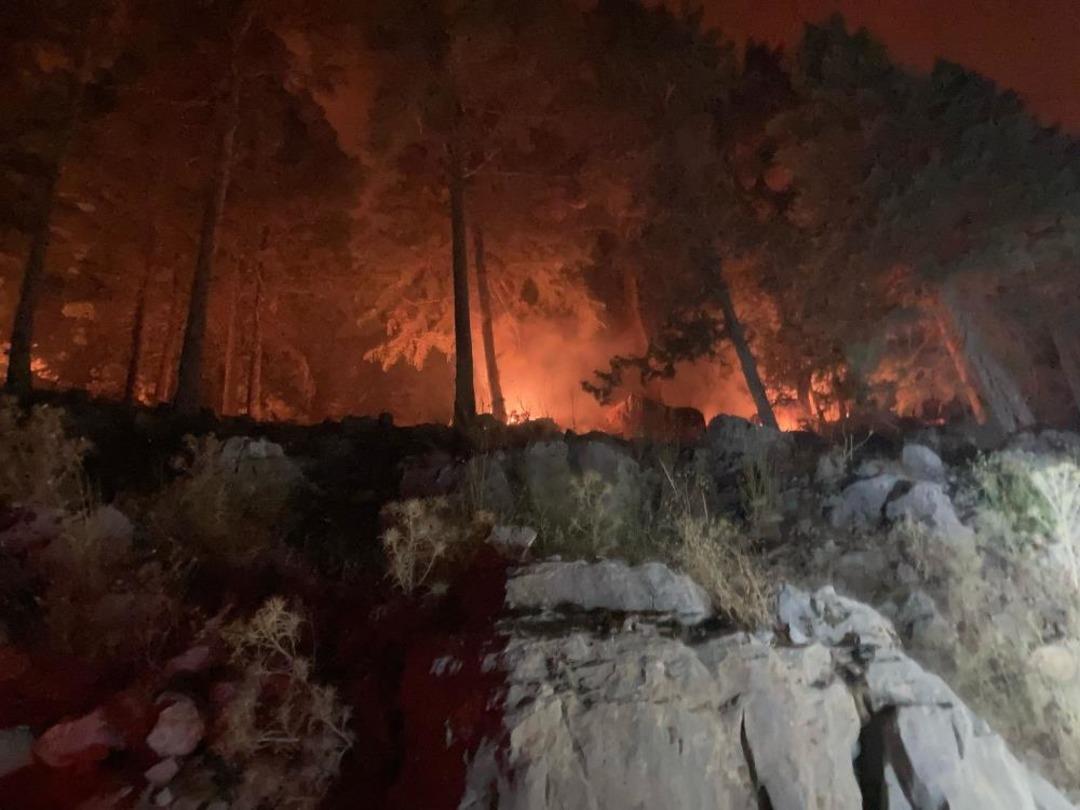 Antalya da orman yangını rüzgarın etkisiyle yayılıyor! Gazipaşa da bir mahalle boşaltıldı 1