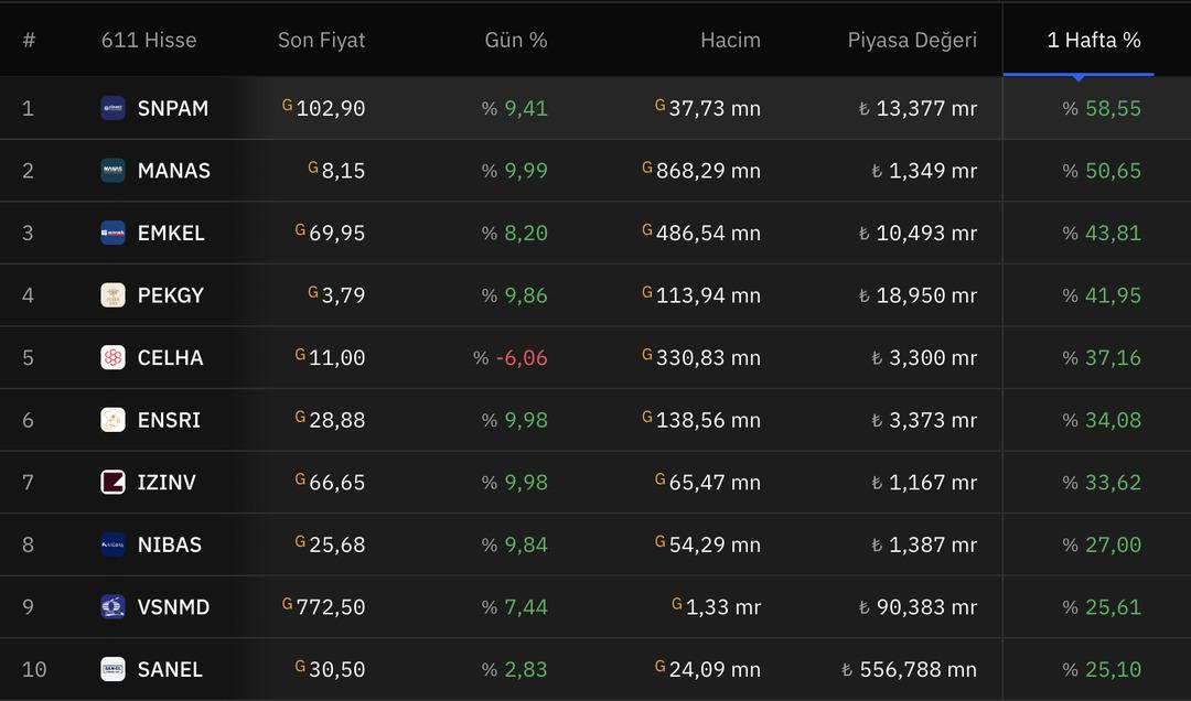 Piyasaya damga vurdular! Haftanın en çok kazandıran hisseleri belli oldu 2