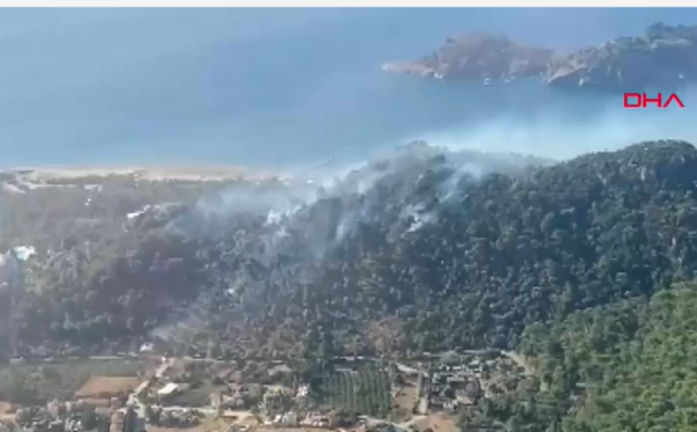 Sarıgerme'deki orman yangını kontrol altında