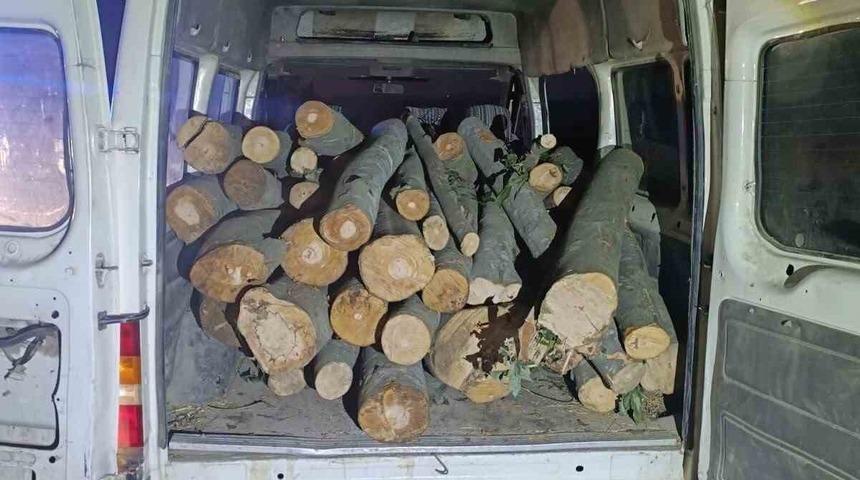 1 ton kaçak orman ürünü ele geçirildi