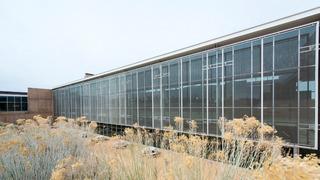 ABD'de üniversitenin yurdunda silahlı saldırı: 1 ölü, 1 yaralı