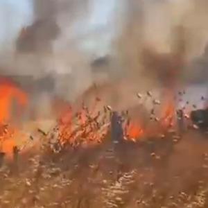 Silivri'de 4 ayrı noktada çıkan anız yangını söndürüldü