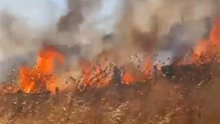 Silivri'de 4 ayrı noktada çıkan anız yangını söndürüldü