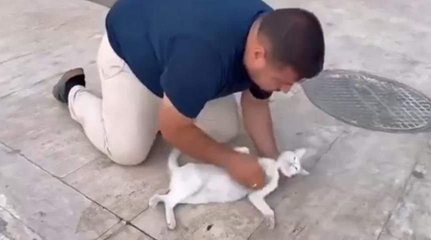 Kediyi, suni teneffüs ve kalp mesajı ile kurtarmaya çalıştı