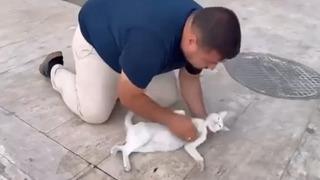 Kediyi, suni teneffüs ve kalp mesajı ile kurtarmaya çalıştı