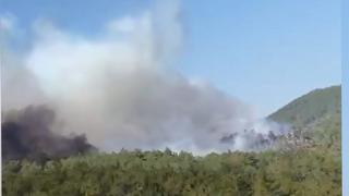Bursa'da orman yangını! 