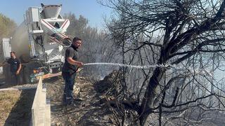 Zonguldak  Alaplı'da ormanlık alanda çıkan yangın kontrol altına alındı