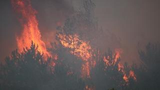 Karabük'te dağın etekleri alev aldı; il genelinde 18 köy boşaltıldı
