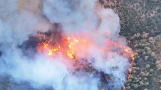 Bursa'daki orman yangınları etkisini artırarak büyüyor! Söndürme çalışmaları devam ediyor