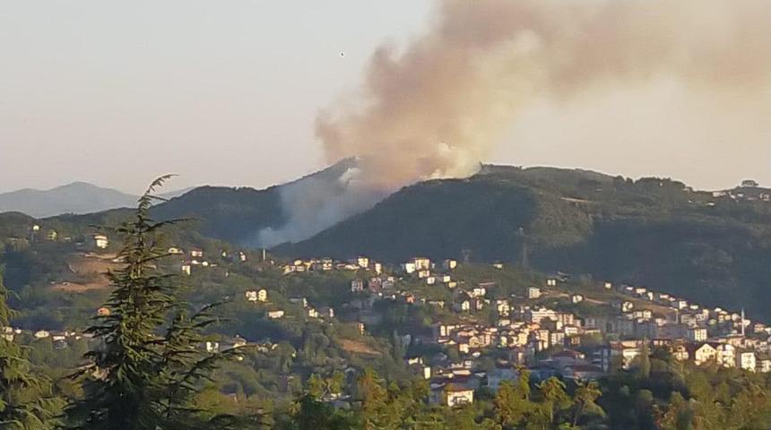 Zonguldak'taki orman yangını söndürüldü