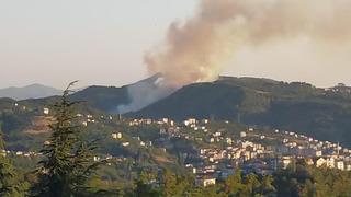 Zonguldak'taki orman yangını söndürüldü