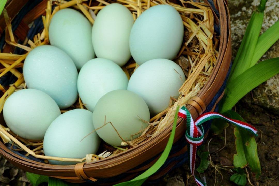 Bu bir mucize: Mavi yumurta nedir? Faydaları nelerdir?