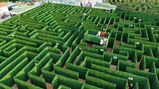 Soruları bilemeyen labirentten çıkamıyor