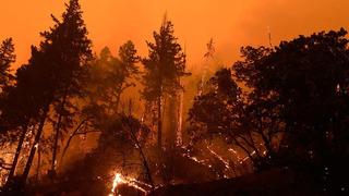Orman Genel Müdürlüğü'nden kritik uyarı: Yüksek sıcaklıklar yangın riskini artırıyor...
