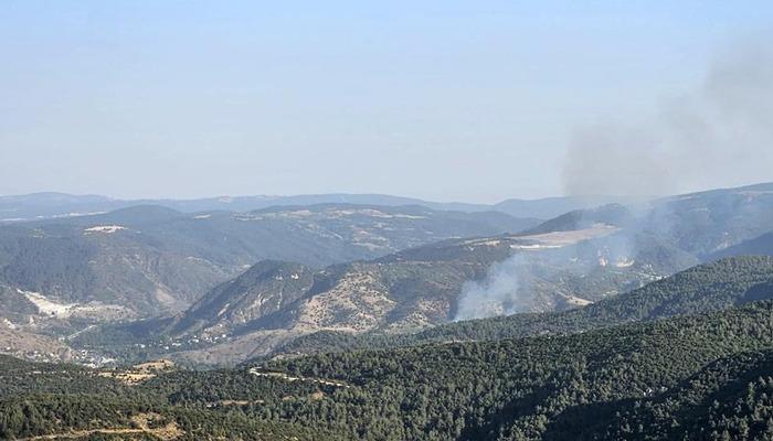 20714039-700x400 Bilecik’te çıkan orman yangını kontrol altına alındı