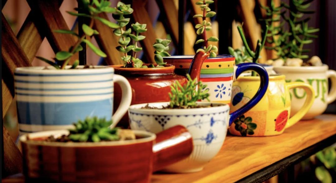 Eski kupaları çöpe atma! En güzel şekilde dönüştürmen için tavsiyelerimiz 3