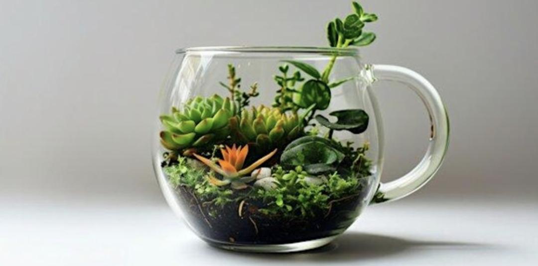 Eski kupaları çöpe atma! En güzel şekilde dönüştürmen için tavsiyelerimiz 9