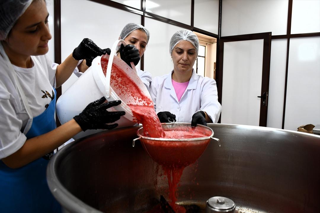 Fiyatı 1 TL ye kadar düşmüştü! O hamleyle değeri arttı... 25 kat daha fazla kazanç 5