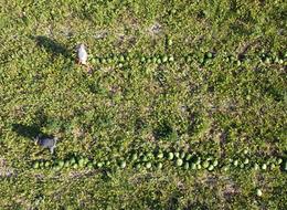 Fiyatı 1 TL'ye kadar düşmüştü! O hamleyle değeri arttı... 25 kat daha fazla kazanç