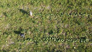 Fiyatı 1 TL'ye kadar düşmüştü! O hamleyle değeri arttı... 25 kat daha fazla kazanç